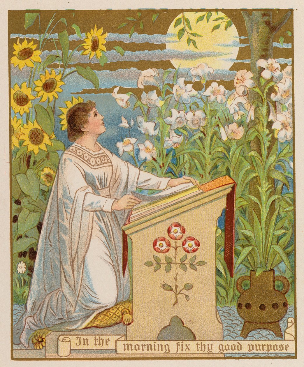  بواسطة المدرسة الأمريكية