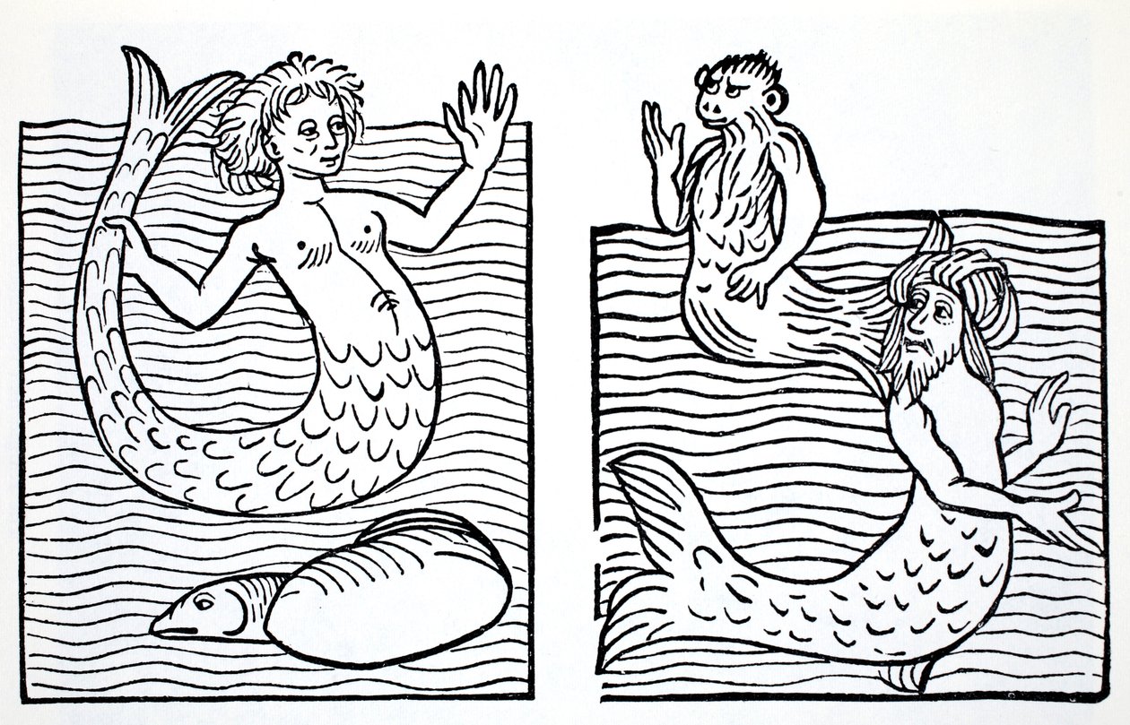 حوريات البحر و Mermen ، من الدليل العالمي للتماثيل ، الجنيات ، الجان وغيرهم من الأشخاص الصغار بقلم توماس Keightley (1789-1872) نشر عام 1880 ، (BW Engraving) بواسطة المدرسة الأمريكية