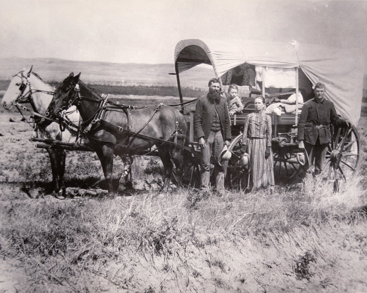 Pioneer family in the Loup Valley, Nebraska بواسطة المدرسة الأمريكية