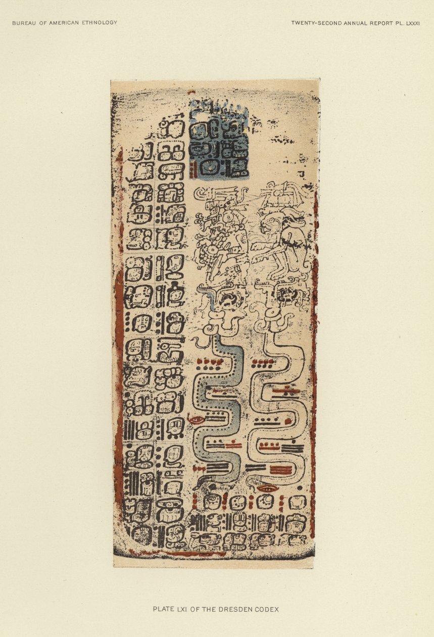  بواسطة المدرسة الأمريكية
