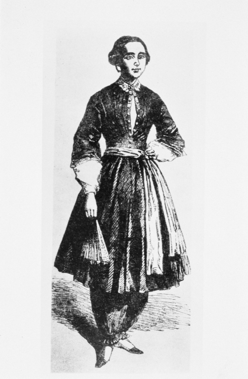 صورة لأميليا بلومر (1818-94) ج .1850 بواسطة المدرسة الأمريكية