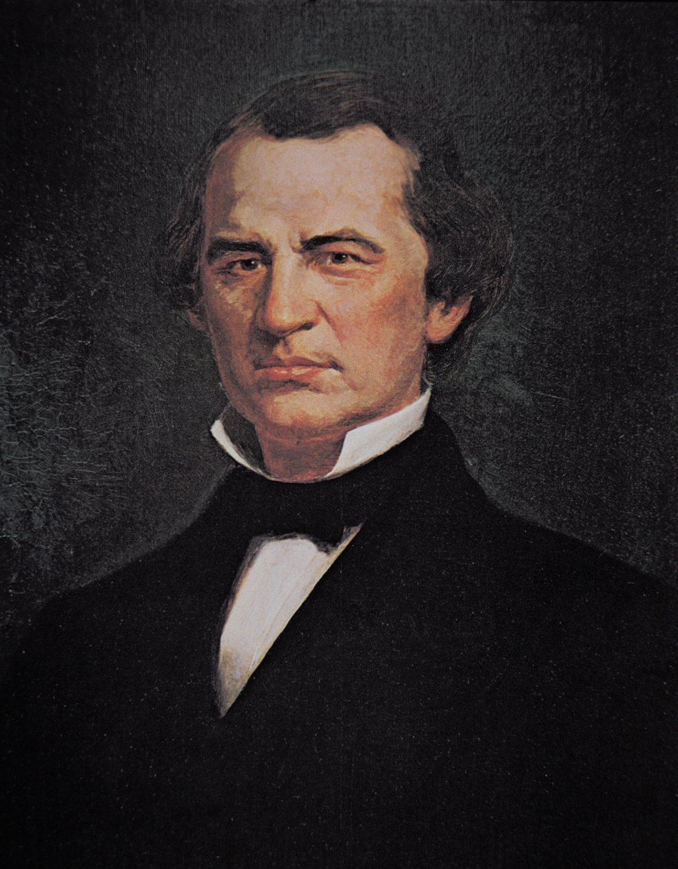 President Andrew Johnson (1808-75) (colour litho) بواسطة المدرسة الأمريكية