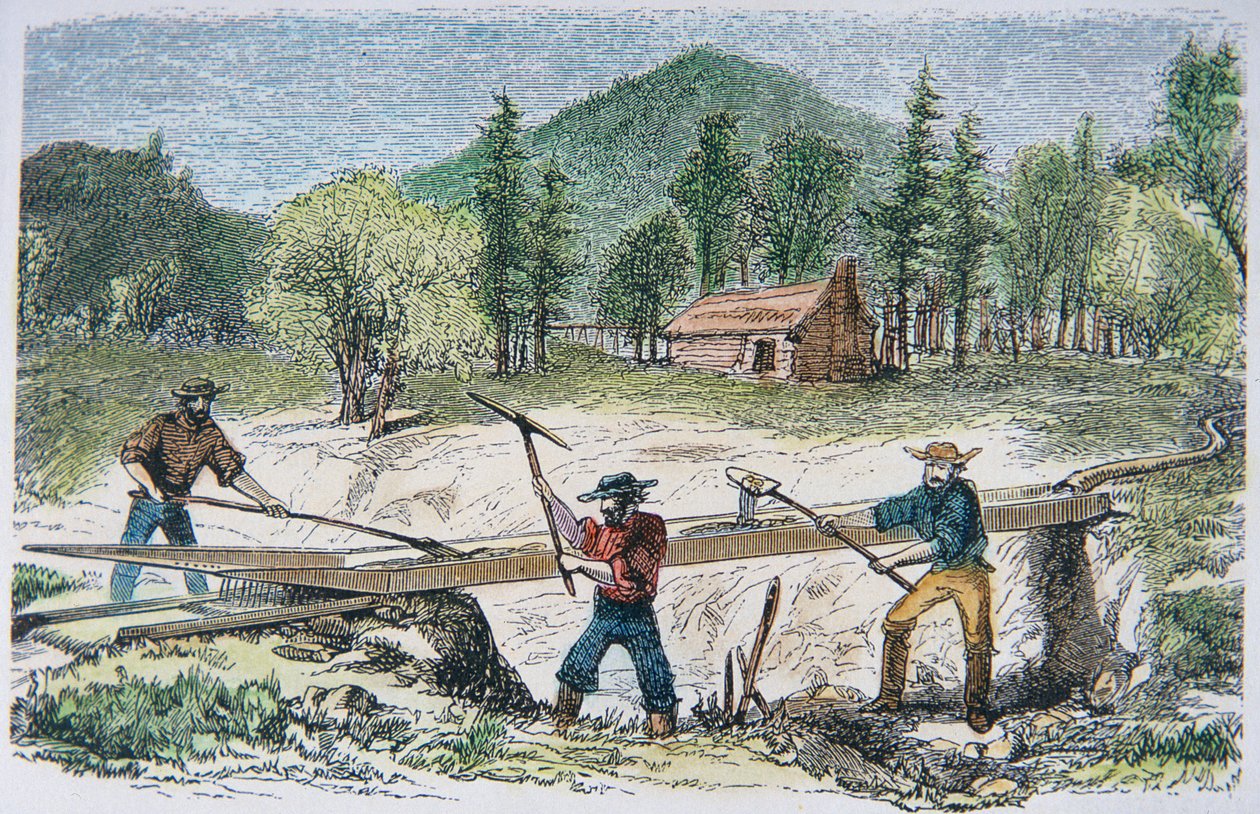 Prospectors using a sluice during the California Gold Rush of 1849 (colour litho) بواسطة المدرسة الأمريكية