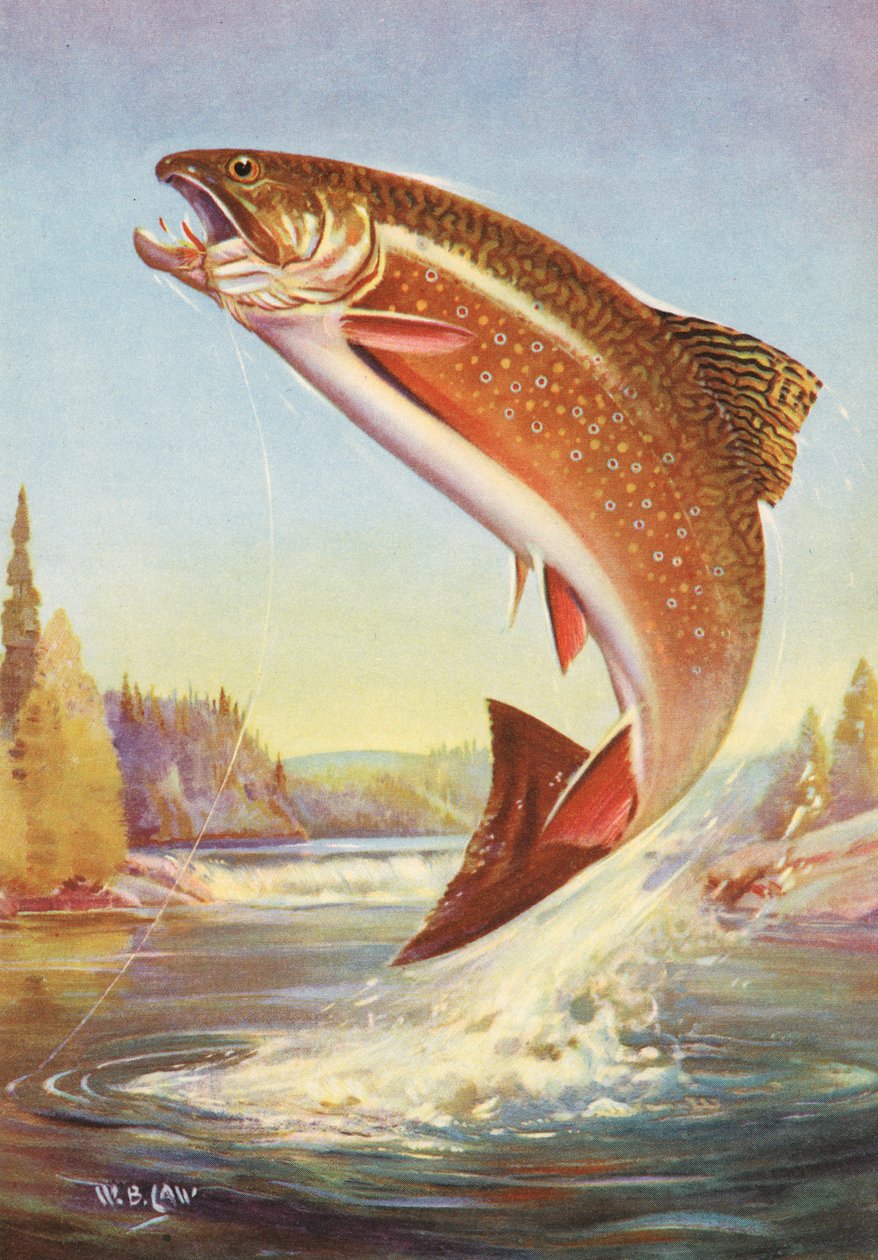 رياضة الصيد: Leaping Brook Trout بواسطة المدرسة الأمريكية