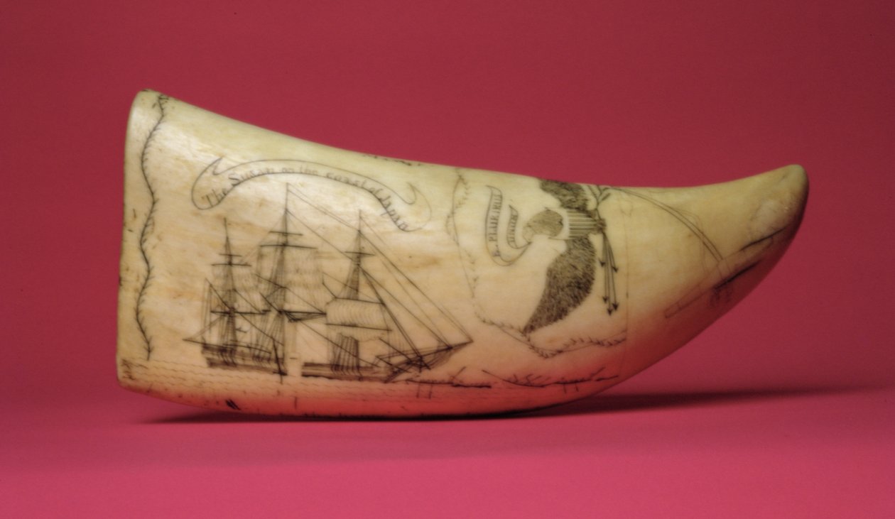 سوزان على ساحل اليابان Scrimshaw (الأسنان) بواسطة المدرسة الأمريكية