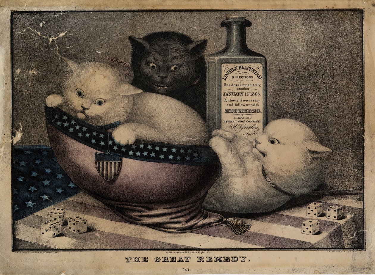 العلاج العظيم ، الذي نشرته EB و EC Kellogg ، و Hartford Ct. ، و Phelps and Watson ، New York ، و FP Whiting ، New York ، c. 1863 بواسطة المدرسة الأمريكية