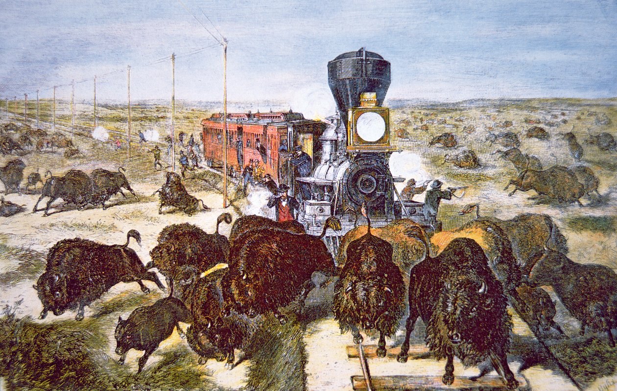 Train Passengers on the Kansas Pacific Railroad, shooting buffalo for sport in the 1870