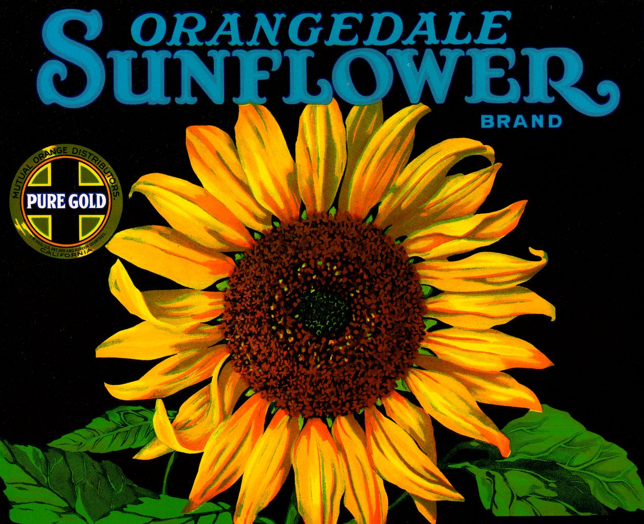 Vintage Sunflower Fruit Crate Label بواسطة المدرسة الأمريكية