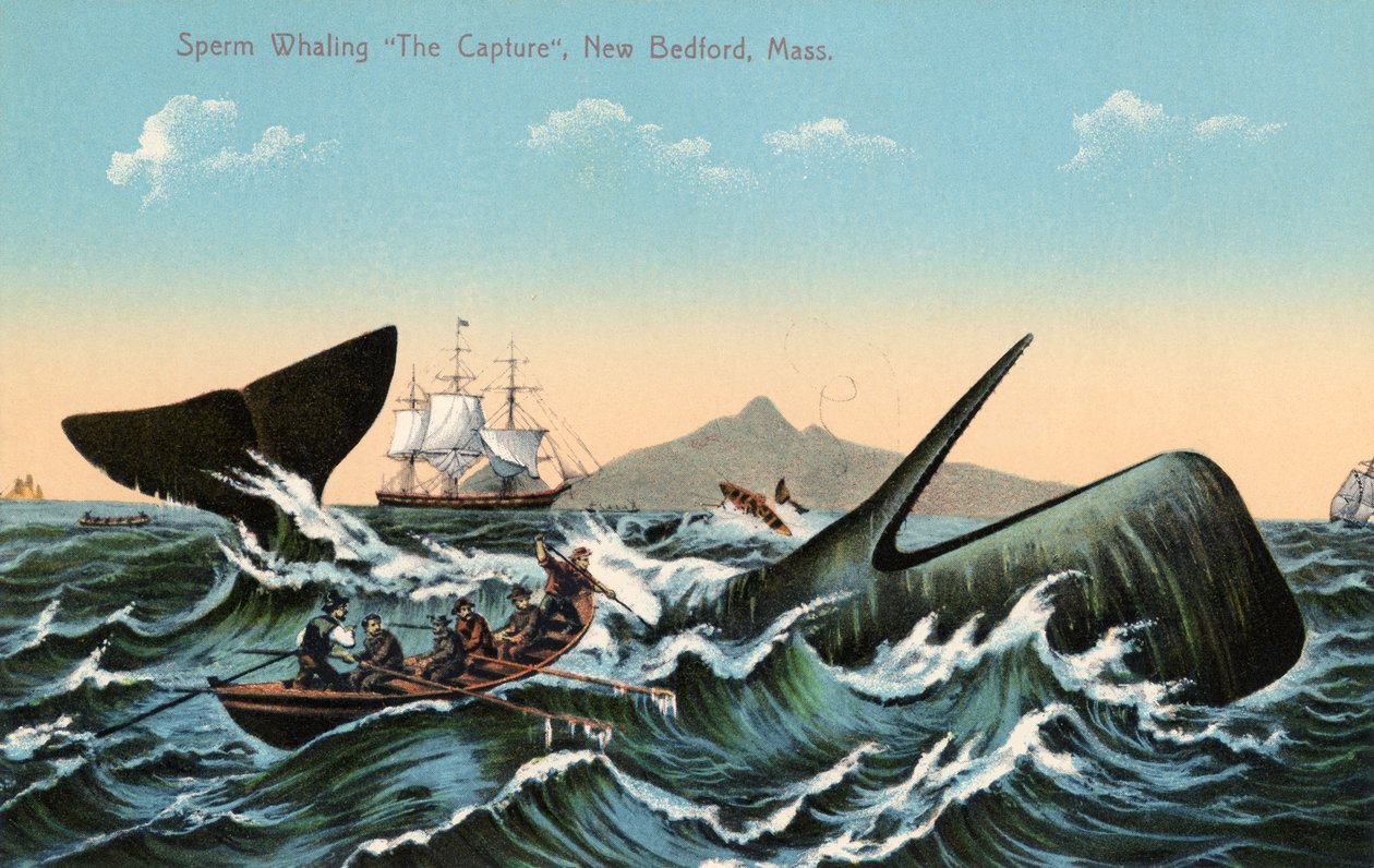 Whalers Harpooning a Sperm Whale Off New Bedford, Massachusetts بواسطة المدرسة الأمريكية