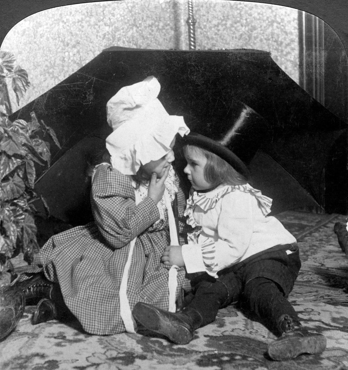 لا تخبر أحدا. بواسطة الشركة الأمريكية المجسمة