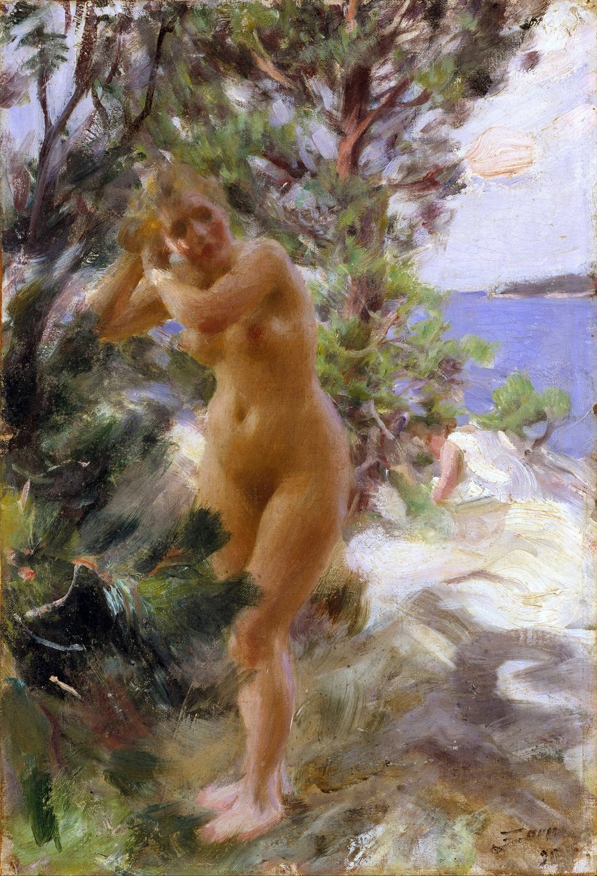 Apres le bain - After the Bath - Zorn، Anders Leonard (1860-1920) - 1895 - زيت على قماش - 53،5x36،5 - Nationalmuseum Stockholm بواسطة المختلف هو ليونارد زورن