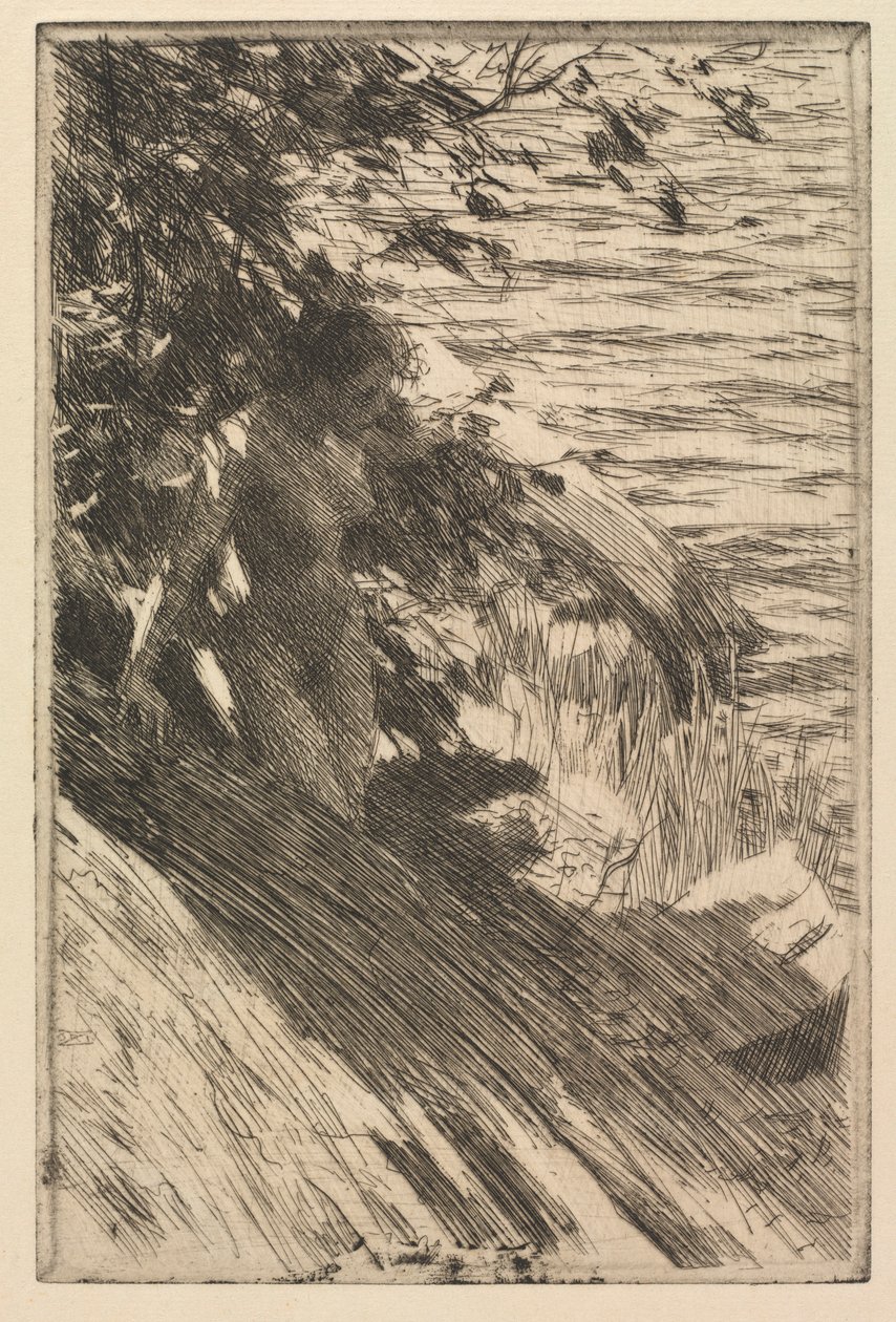 The Great Bather ، 1895. بواسطة المختلف هو ليونارد زورن