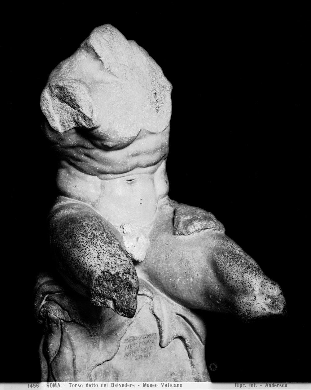 جذع بلفيدير بواسطة Apollonios of Nestor ، c1890 (b / w photo) بواسطة أندرسون أندرسون