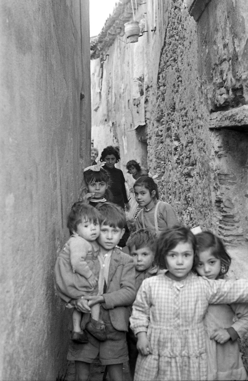 كروتوني - صورة جماعية بواسطة 