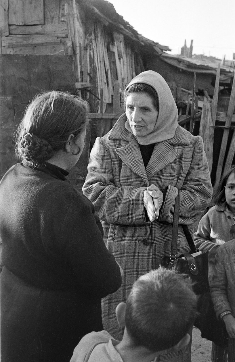 كروتوني - آخر التحديثات بين السيدات بواسطة 