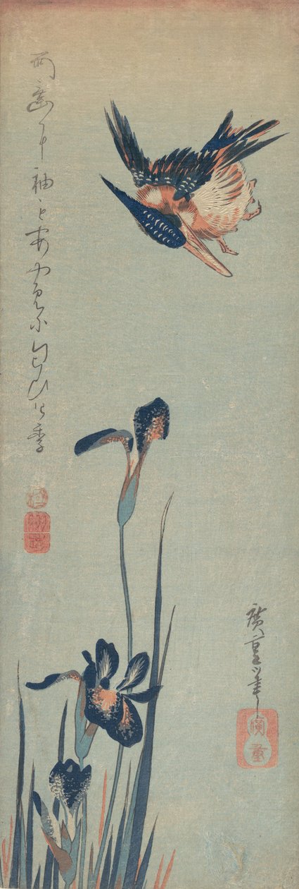 الرفراف والسوسن ، 1832-34. ، 1832-34. بواسطة أندو هيروشيغه