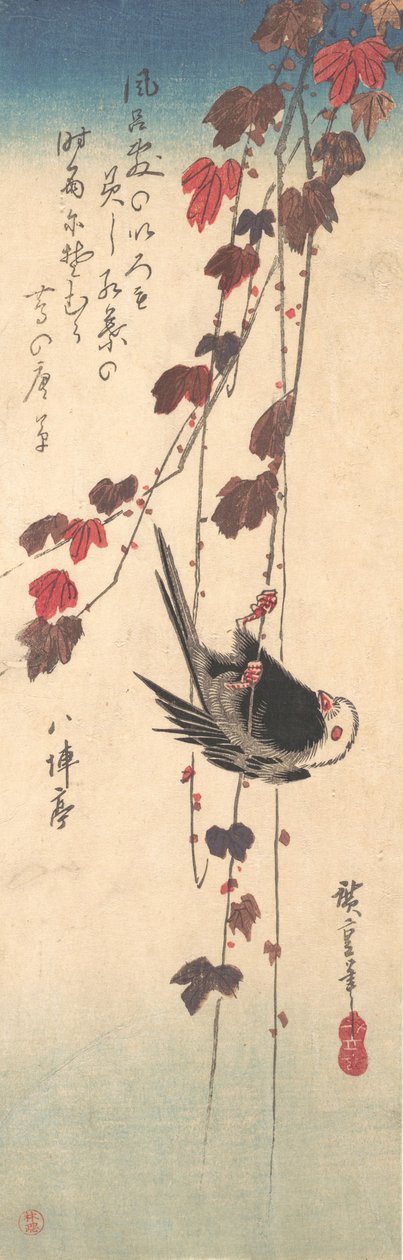 طويل الذيل في الخريف لبلاب ، كاليفورنيا. 1835. ، كاليفورنيا. 1835. بواسطة أندو هيروشيغه