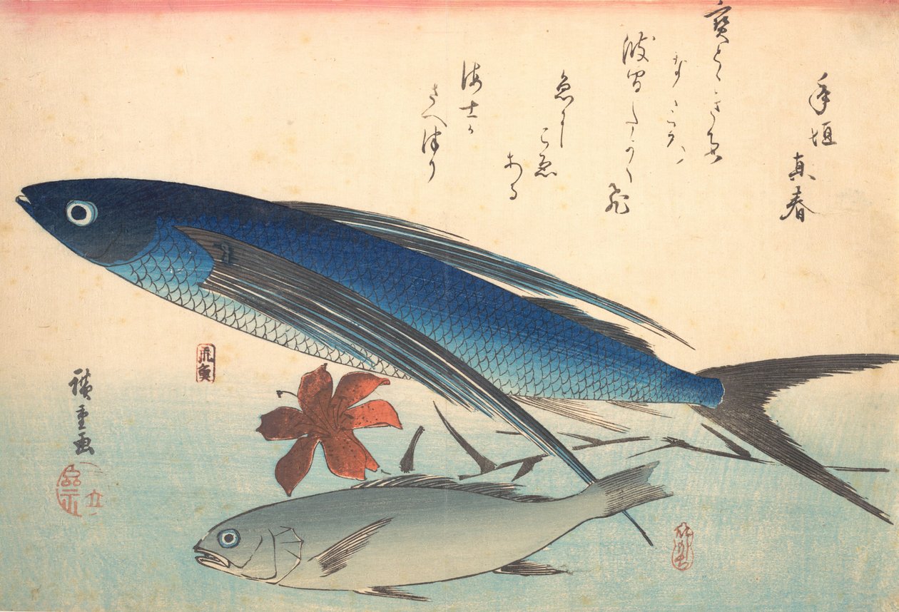 Tobiuo و Ishimochi Fish ، من سلسلة Uozukushi Every Variety of Fish ، أربعينيات القرن التاسع عشر ، أربعينيات القرن التاسع عشر. بواسطة أندو هيروشيغه