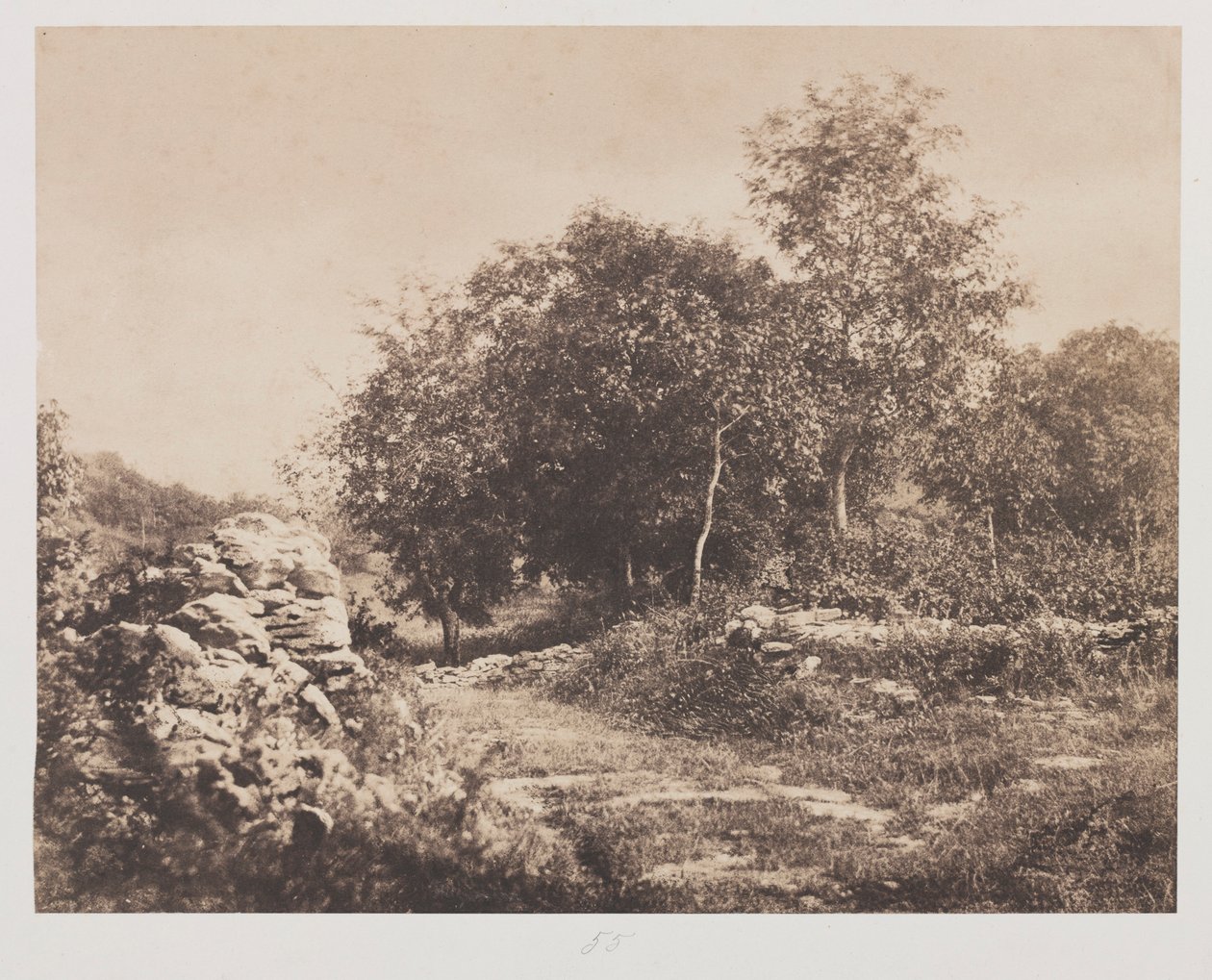 مشهد بلا عنوان من Fontainbleau ، ج. 1853. بواسطة أندريه جيرو
