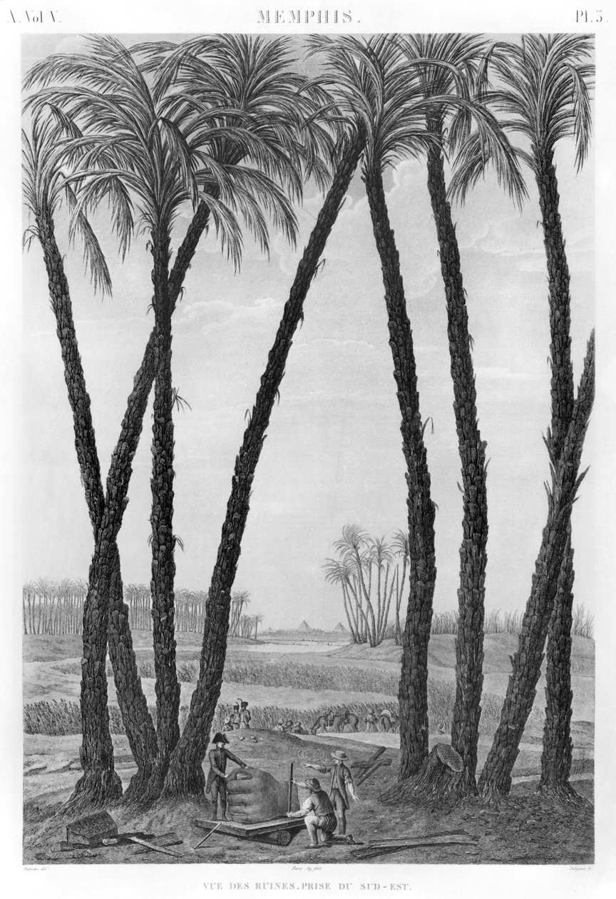 منظر لأنقاض ممفيس التي شوهدت من الجنوب الشرقي ، محفورة بواسطة جان لويس ديلينون (1755-1804) بواسطة أندريه دوتيرتر