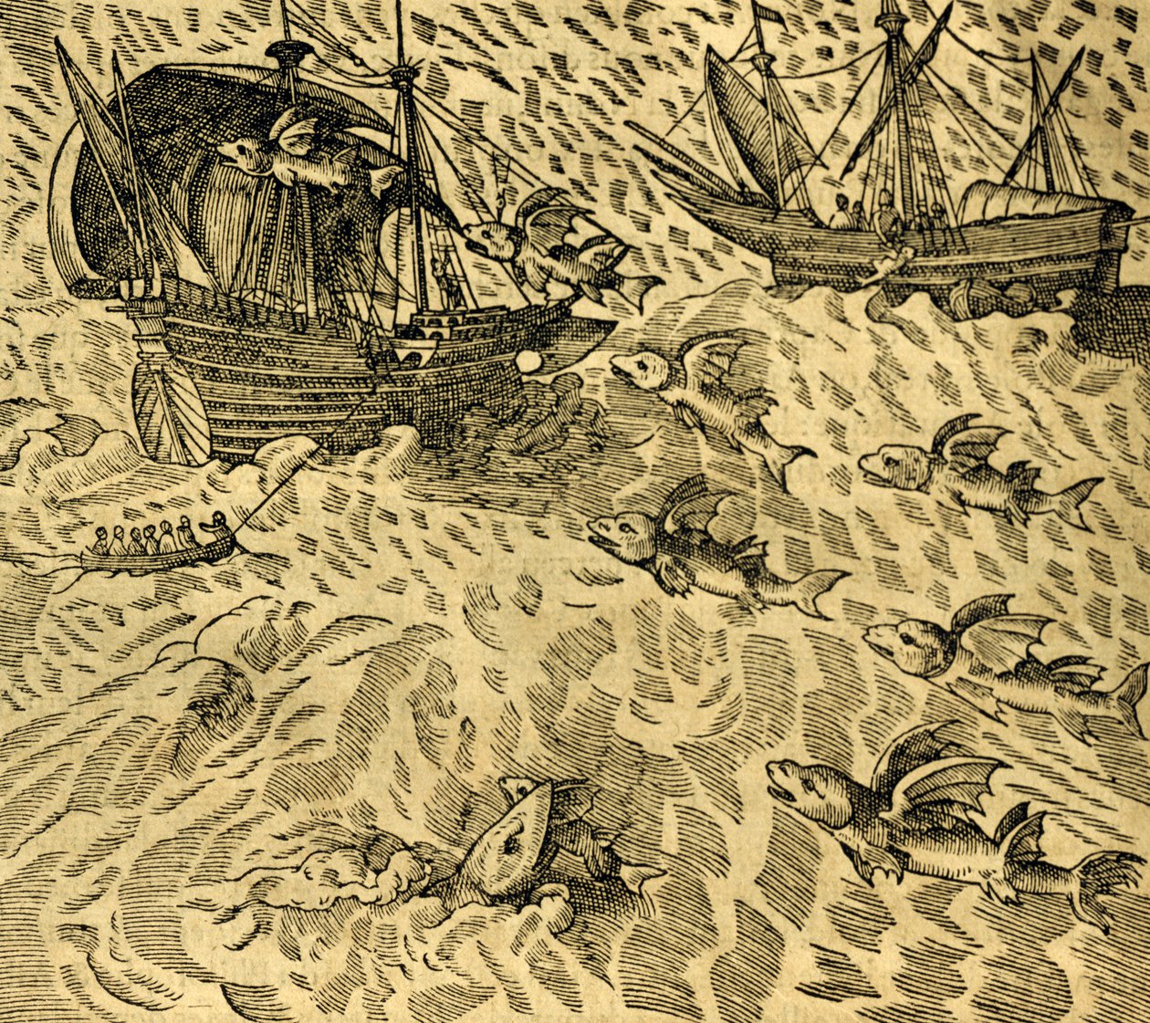 الأسماك الطائرة في البحار الاستوائية ، نقش من Cosmographie Universelle ، بواسطة Andre 'Thevet (1504-1592) ، باريس بواسطة أندريه ثيفت