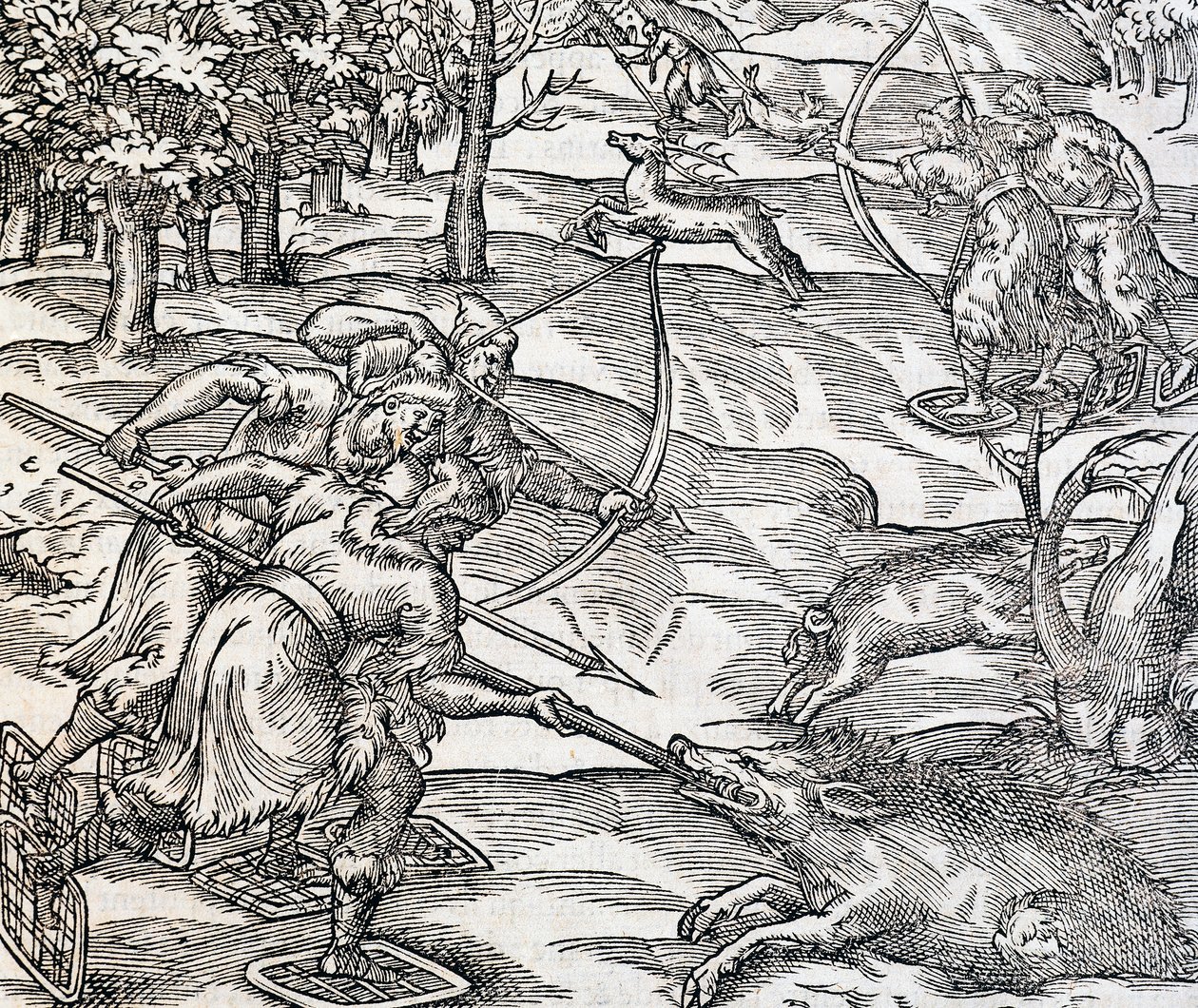 الهنود يصطادون الخنازير ، نقش من Universal Cosmology ، بواسطة Andre Thevet (1504-1592) ، باريس بواسطة أندريه ثيفت