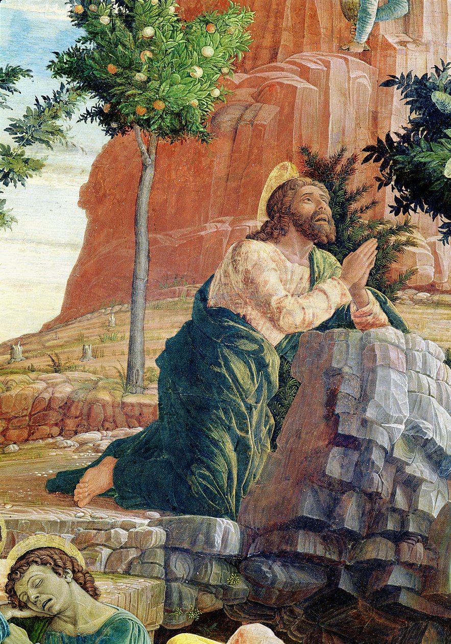 عذاب في الحديقة ، لوحة بريديلا اليسرى من مذبح القديس زينو في فيرونا ، 1456-60 (تفاصيل 214241) بواسطة أندريا مانتيجنا