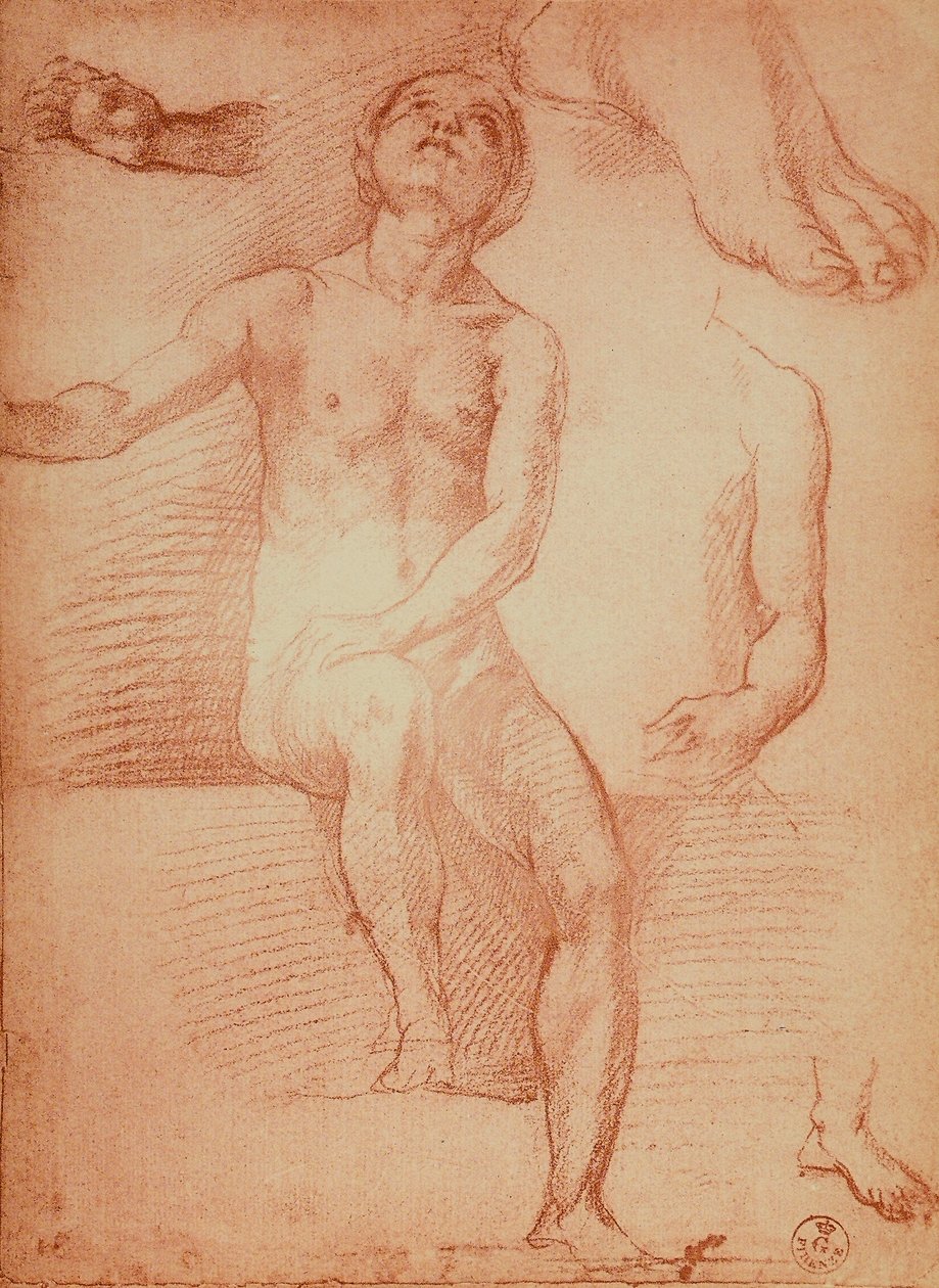 دراسة شخصية عارية وأطراف بشرية ، رسم أندريا ديل سارتو. خزانة الرسومات والمطبوعات ، معرض أوفيزي ، فلورنسا بواسطة أندريا ديل سارتو