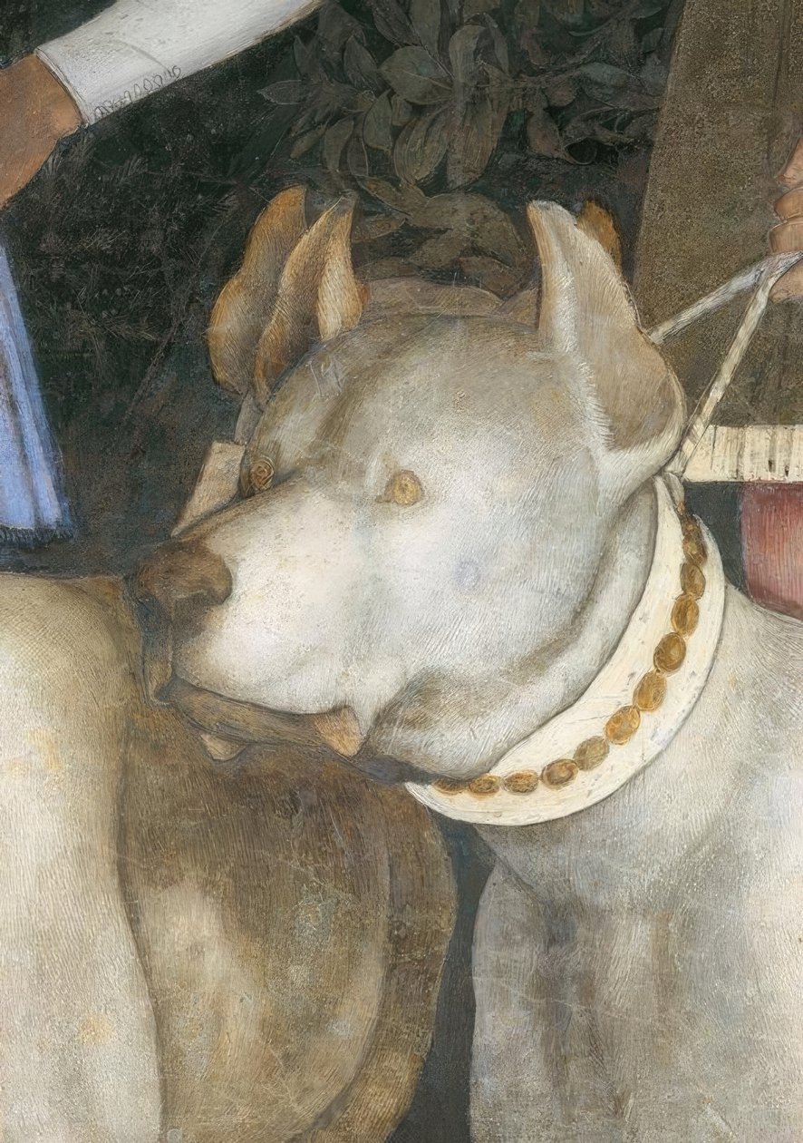 لقاء بين Margrave Lodovico III. Gonzaga مع نظيره بواسطة أندريا مانتيجنا