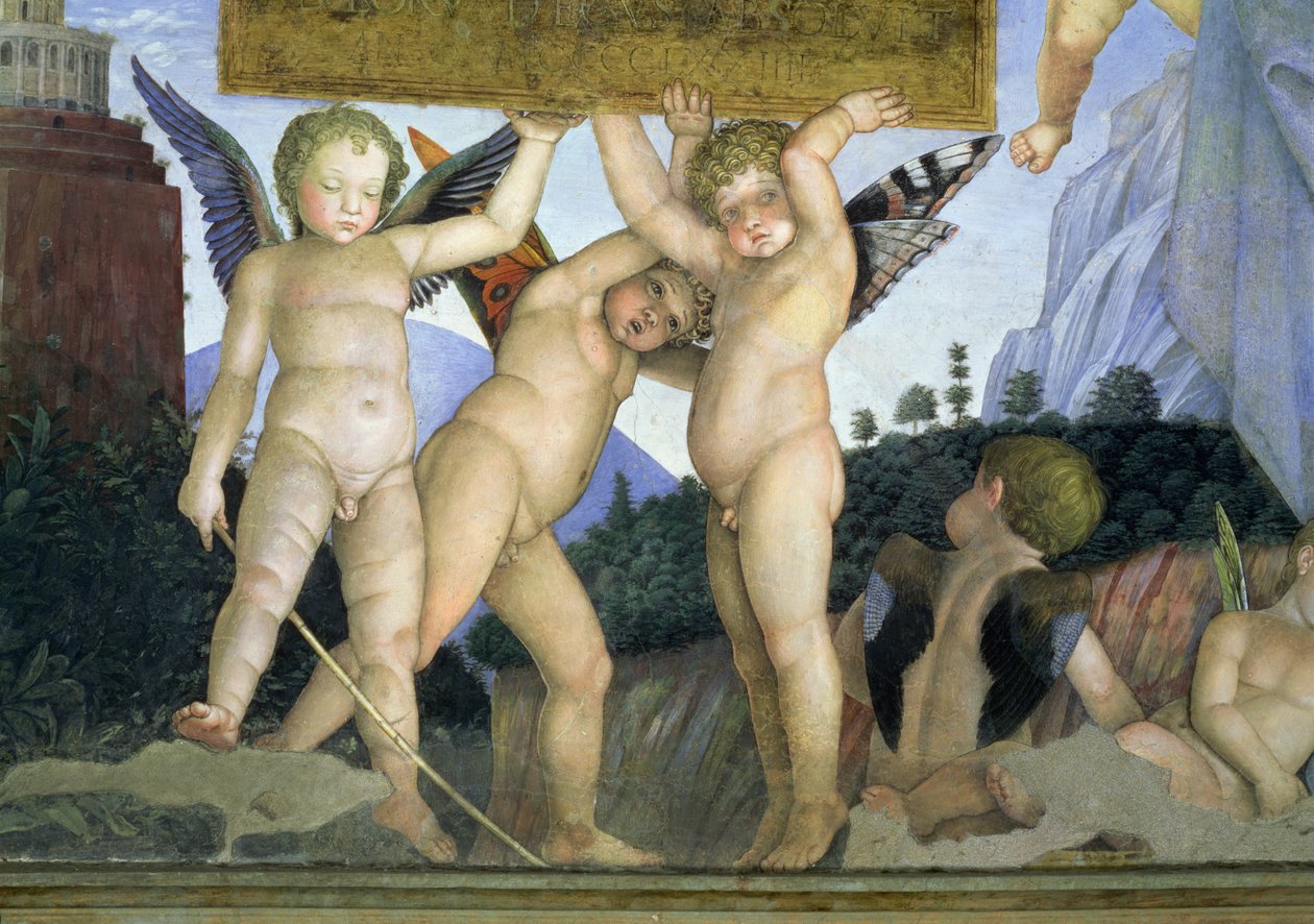 Putti بأجنحة فراشة تدعم اللوحة التكريمية ، من Camera degli Sposi أو Camera Picta ، 1465-74 تفاصيل جدارية 78449 بواسطة أندريا مانتيجنا