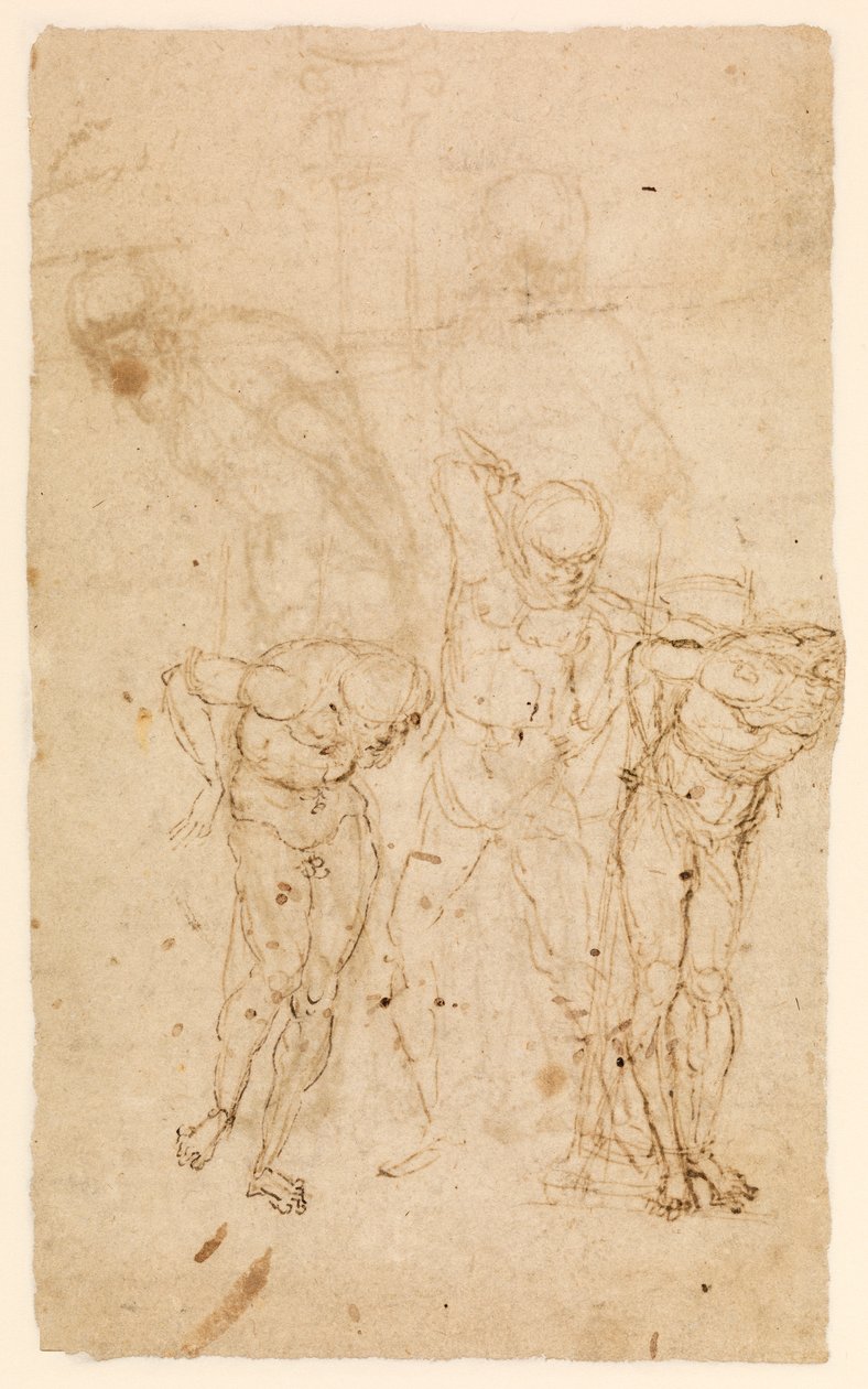 Studies for Christ at the Column (verso), c.1460-65 (pen & ink on paper) [see also 5934515] بواسطة أندريا مانتيجنا