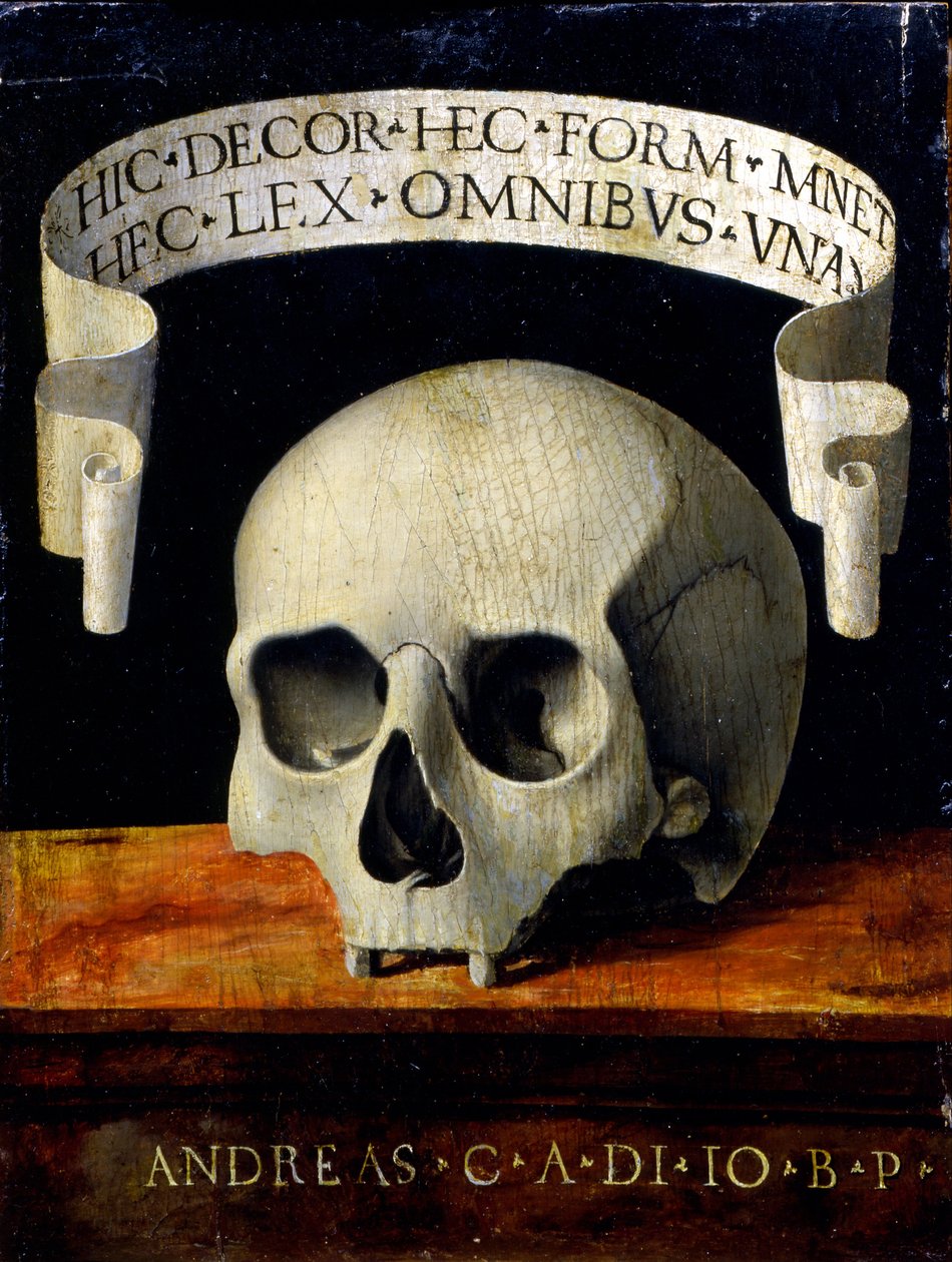 صورة لرجل - Memento Mori بواسطة دعا أندريا بريفيتالي كورديلياجي