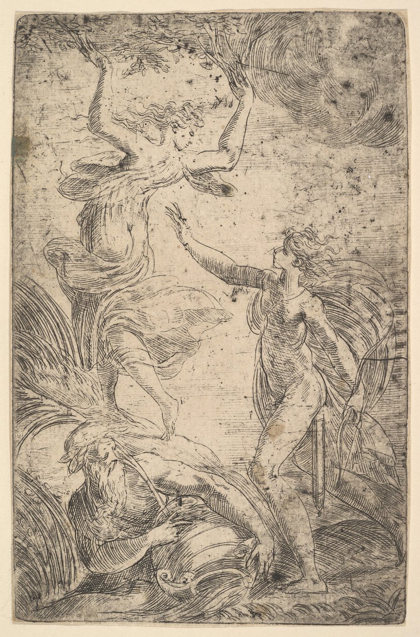 أبولو على اليمين يمسك القوس مطاردة دافني على اليسار ، كاليفورنيا. 1538-40. بواسطة أندريا شيافوني
