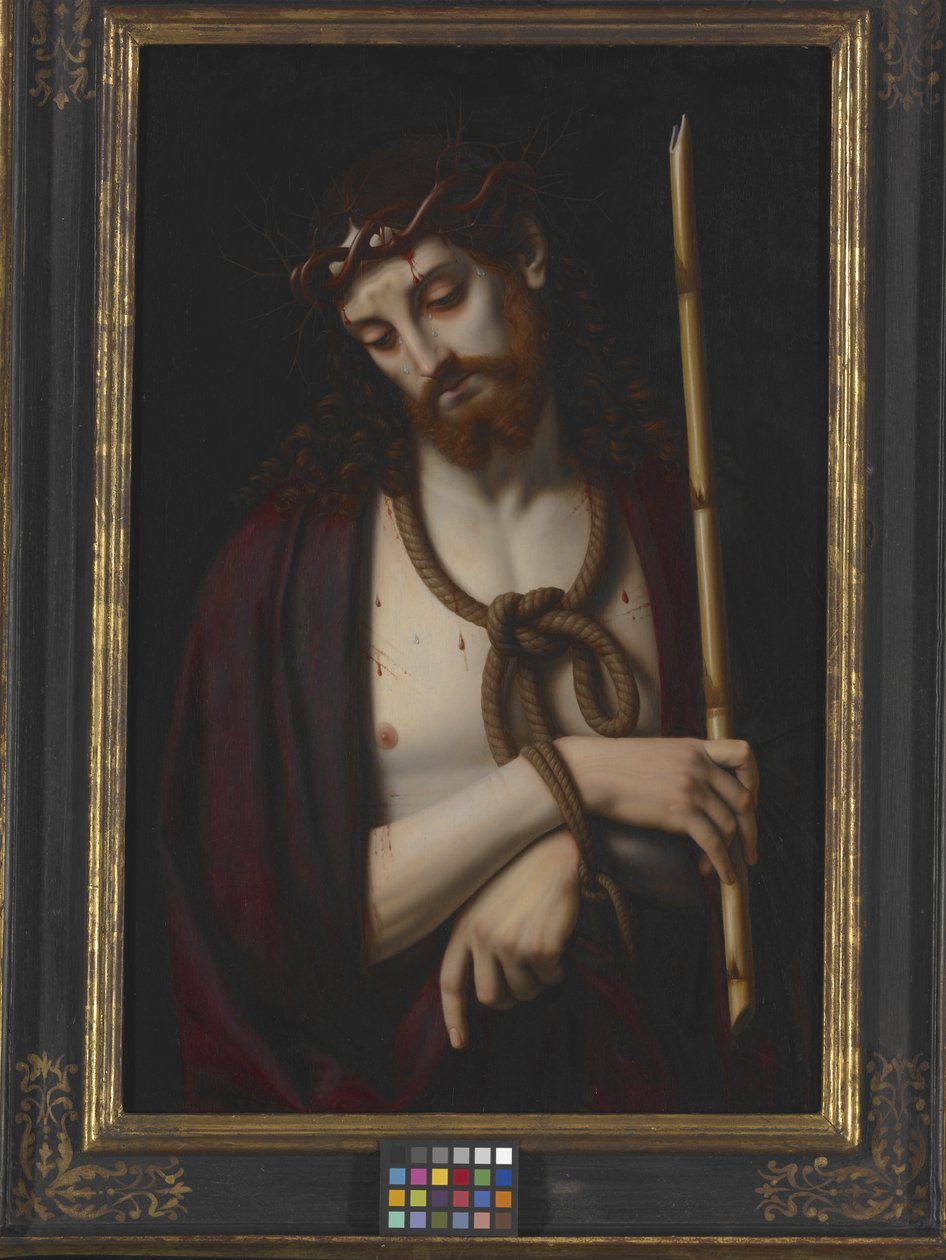 Ecce Homo (زيت على خشب) بواسطة أندريا سولاريو