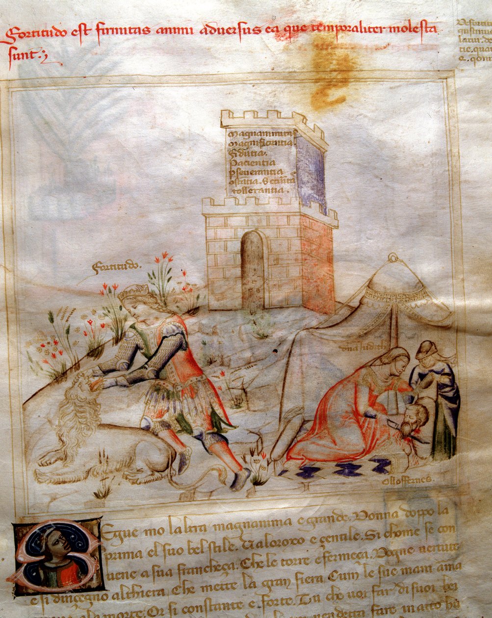 Allegory of courage with Samson tearing the lion and Judith decapitant Holoferne in “” Chansonne des sept Vertus et des sept arts liberaux destinee a Bruzio Visconti”” (La Canzone delle Virtu e delle Scienze) by Bartolomeo di Baartoli. Watercolour by Andre بواسطة أندريا دي بارتولي