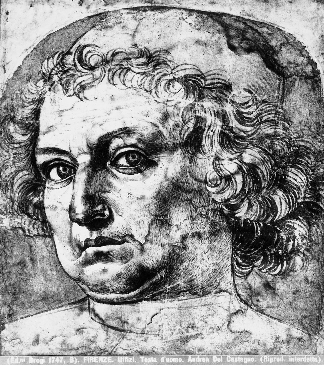 رأس مان ، أو صورة لأندريا ديل فيروتشيو ، ج .1450 بواسطة أندريا ديل كاستانيو