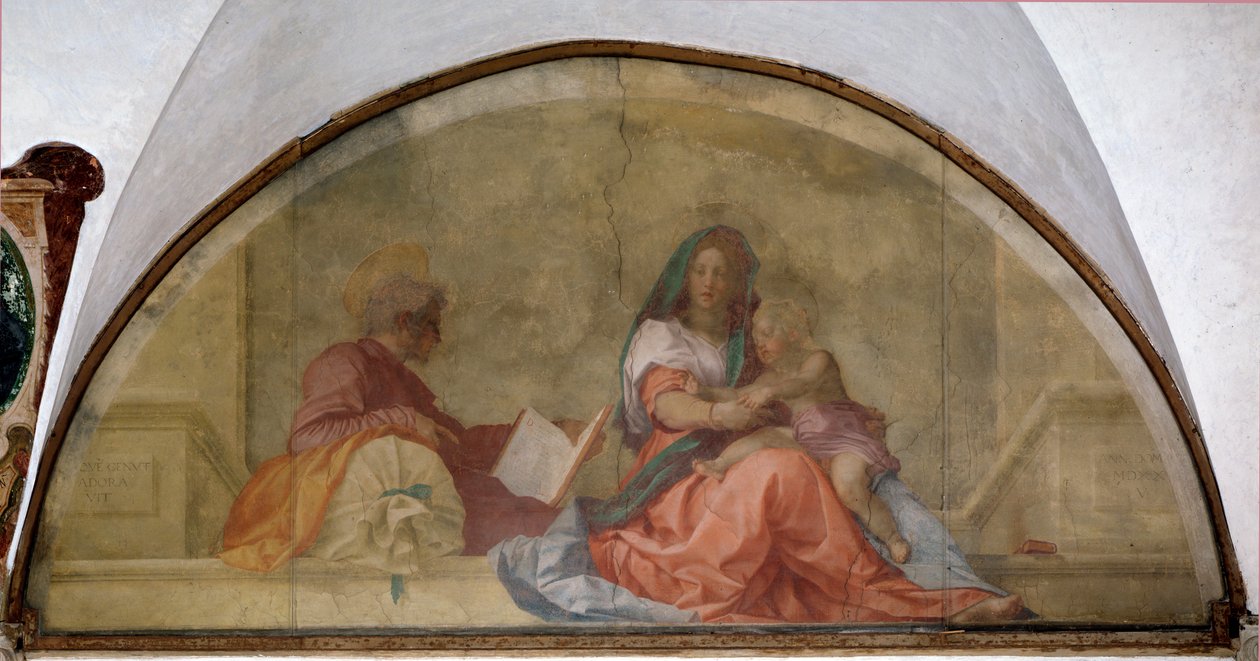 Madonna del Sacco (Fresco بواسطة أندريا ديل سارتو