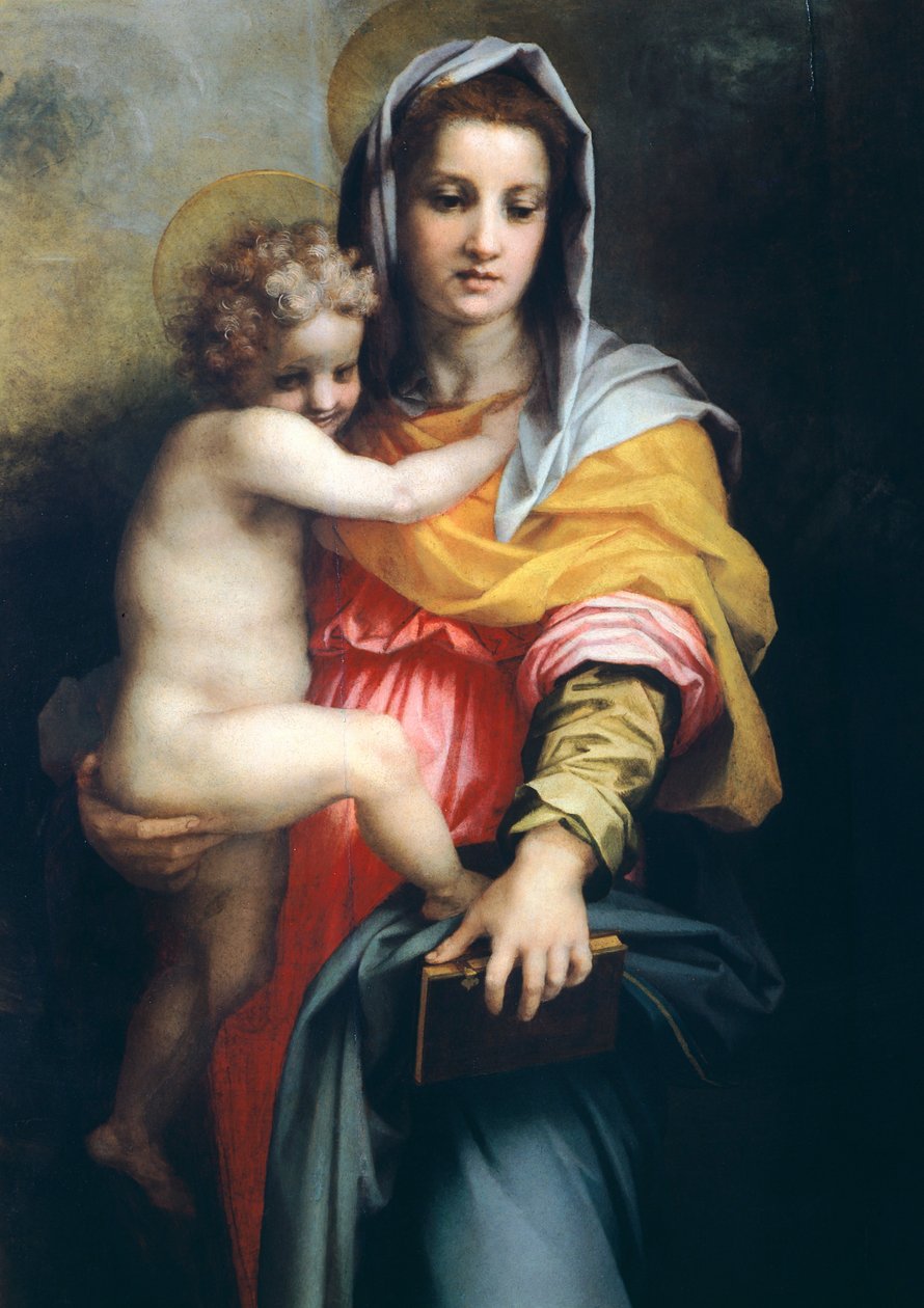 Madonna with child, detail from Madonna of the Harpies,1517, by Andrea del Sarto (1486-1530), oil on wood, 207x178 cm بواسطة أندريا ديل سارتو