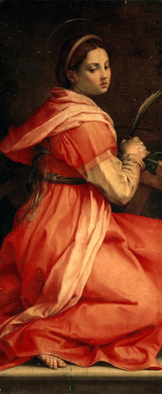 Saint Catherine of Alexandria, c.1530 بواسطة أندريا ديل سارتو