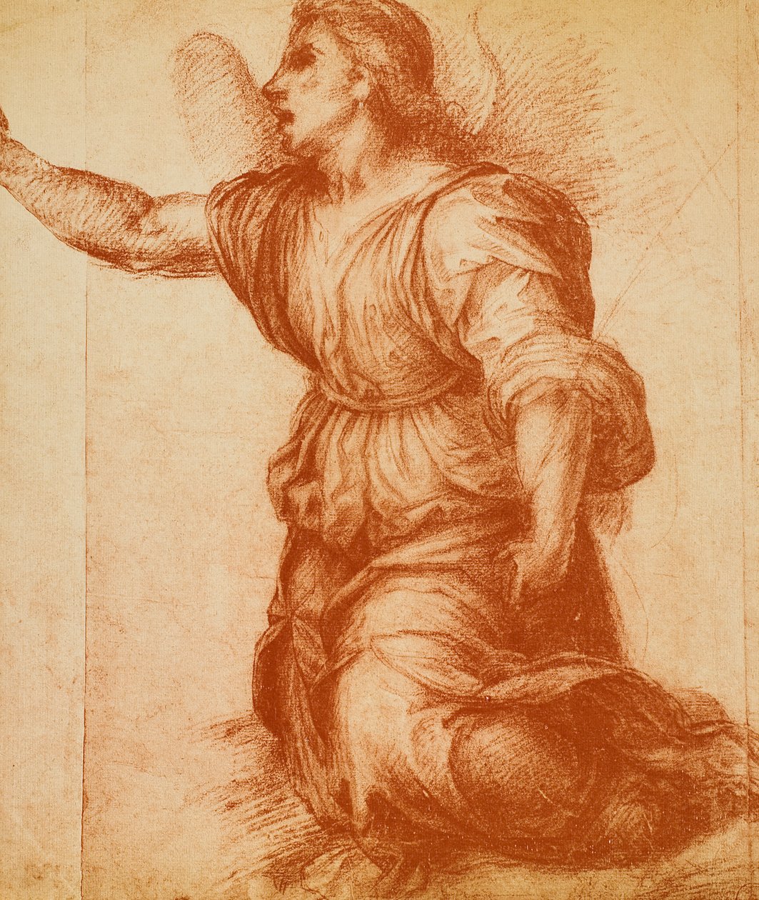 دراسة لملاك ، رسم رسمته أندريا ديل سارتو من أجل البشارة الموجودة الآن في معرض بالاتينا. خزانة الرسومات والمطبوعات ، معرض أوفيزي ، فلورنسا بواسطة أندريا ديل سارتو
