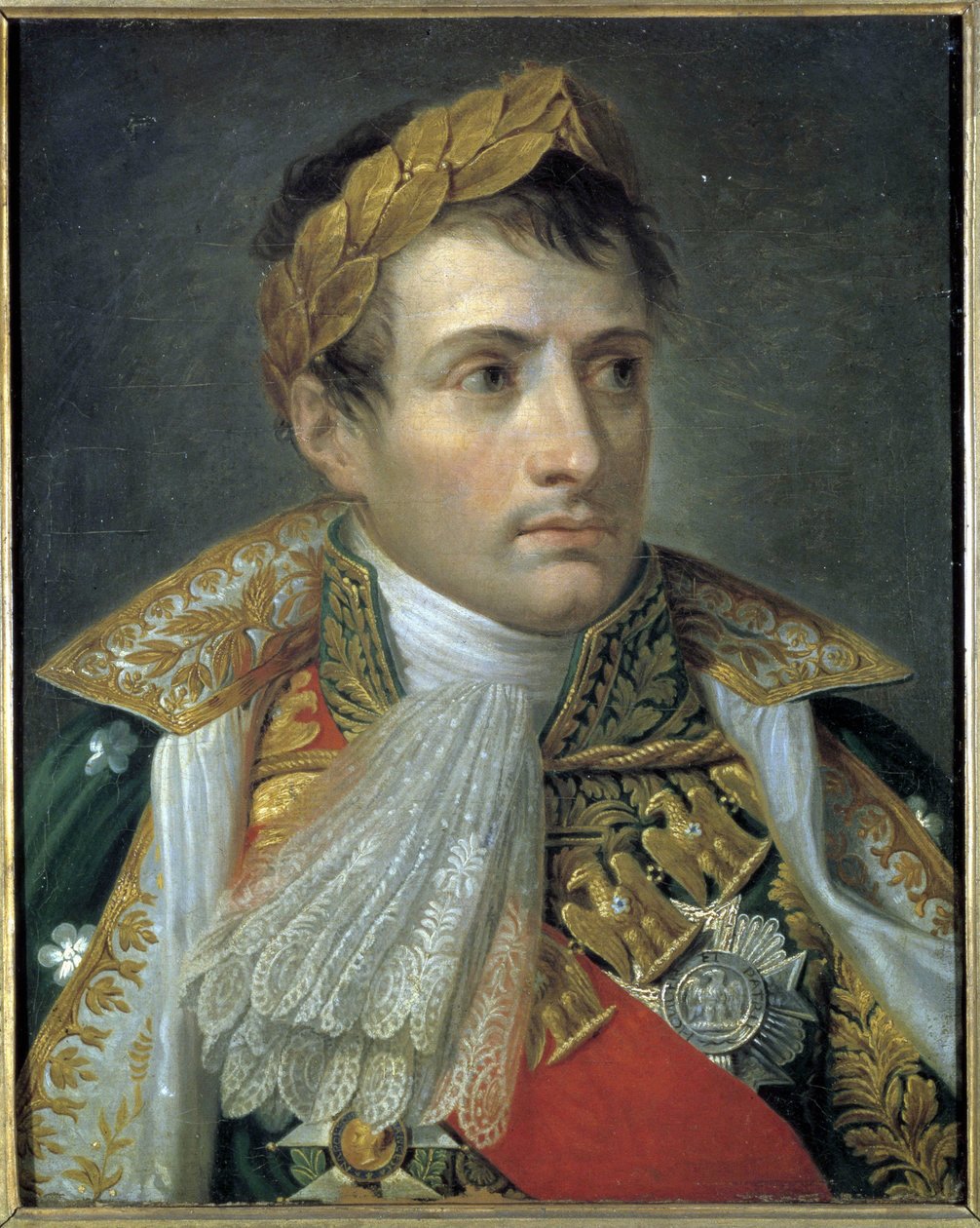 صورة لنابليون الأول ، لوحة لأندريا أبياني (1754 - 1817). متحف Risorgimento. ميلان بواسطة أندريا الأكبر أبياني