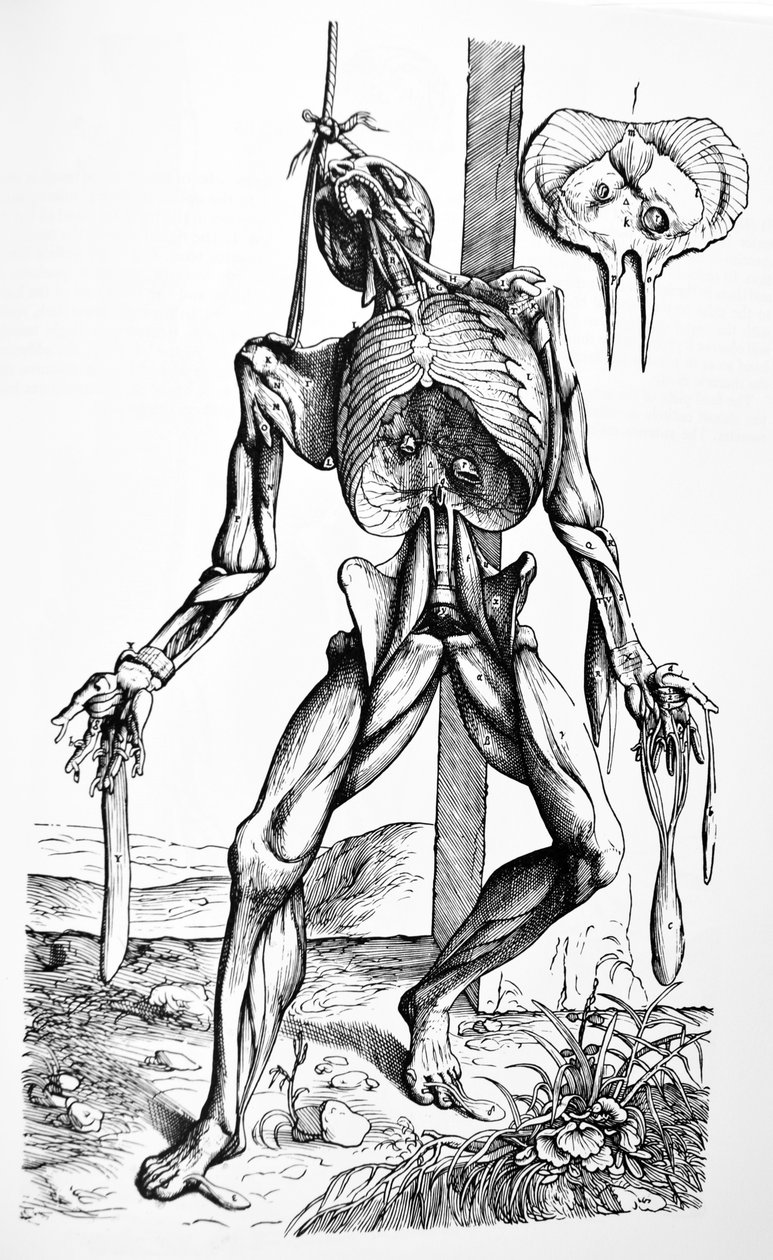 لوحات من الكتاب الثاني من De Humani Corporis Fabrica بواسطة أندرو فيزاليوس