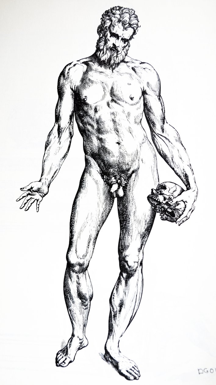 لوحات من الكتاب السابع من De Humani Corporis Fabrica بواسطة أندرو فيزاليوس