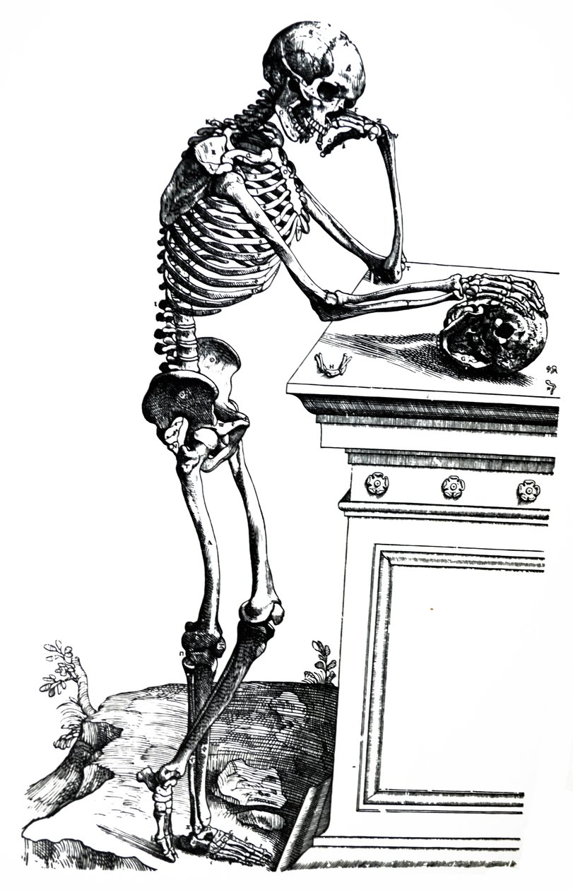 لوحات من الكتاب السابع من De Humani Corporis Fabrica بواسطة أندرو فيزاليوس