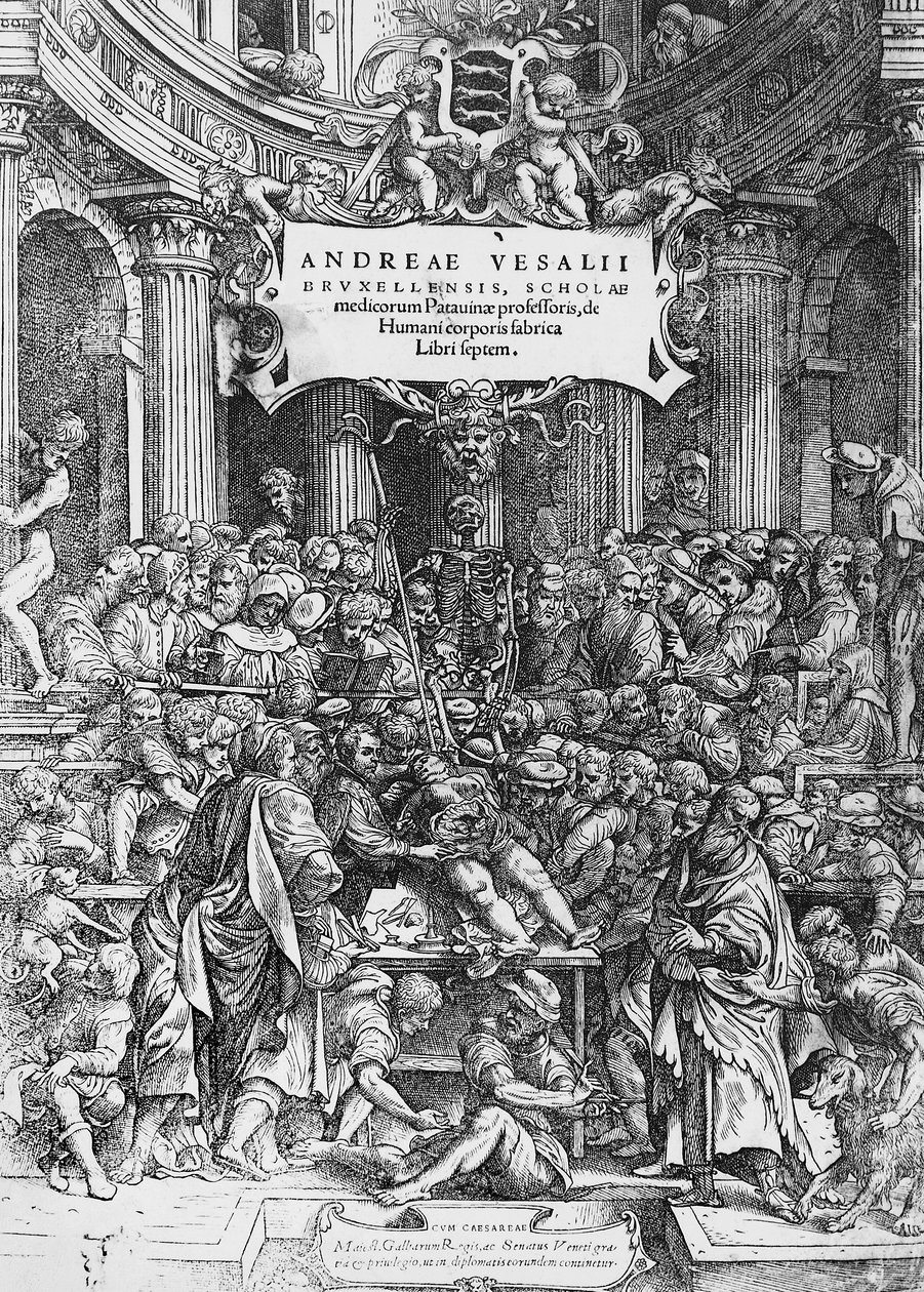 Title page of De humani corporis fabrica (Latin for On fabric of human body), where Andreas Vesalius is depicted dissecting cadaver بواسطة أندرو فيزاليوس