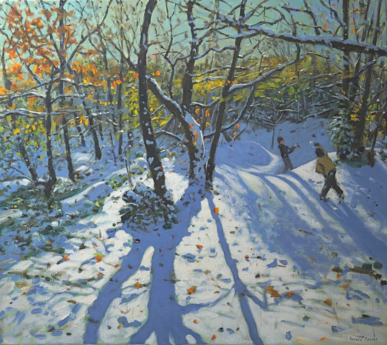 Allestree Park Woods نوفمبر 2010 بواسطة أندرو ماكارا
