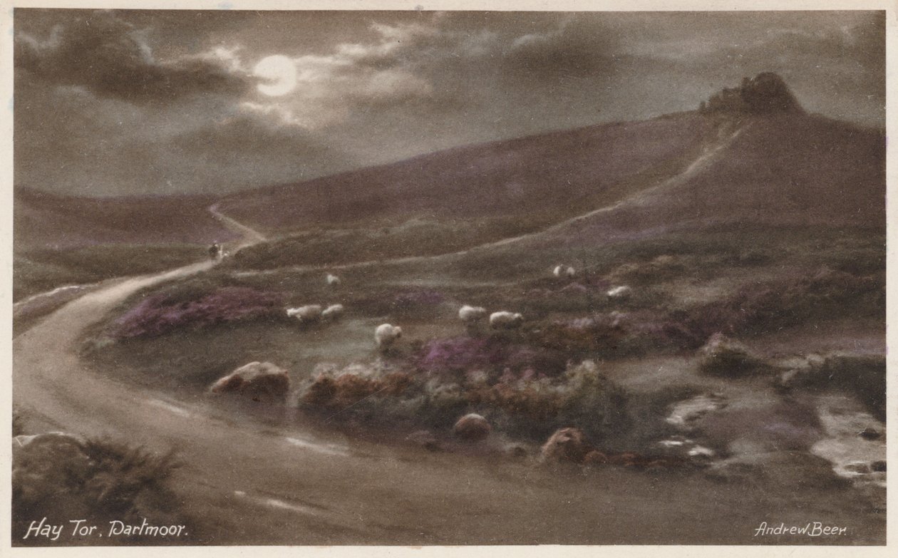  بواسطة أندرو بير