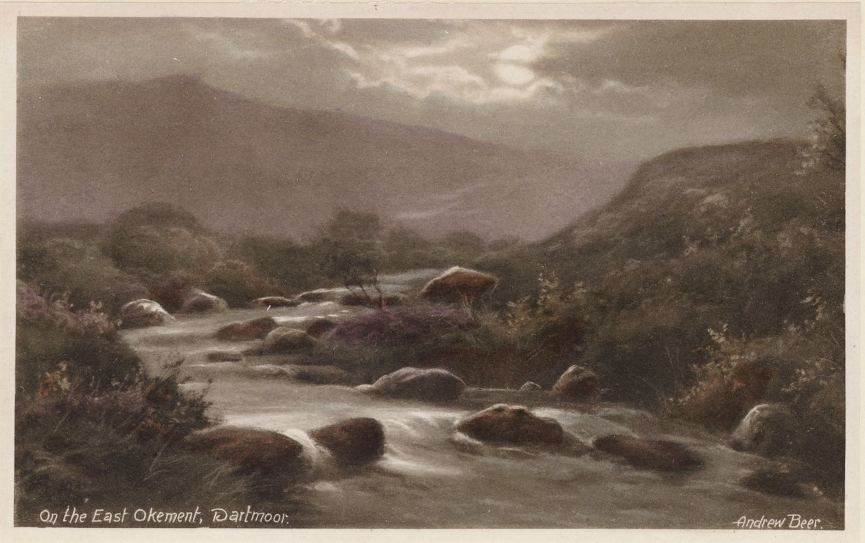 في إيست أوكمينت، دارتمور (صورة ملونة) بواسطة أندرو بير