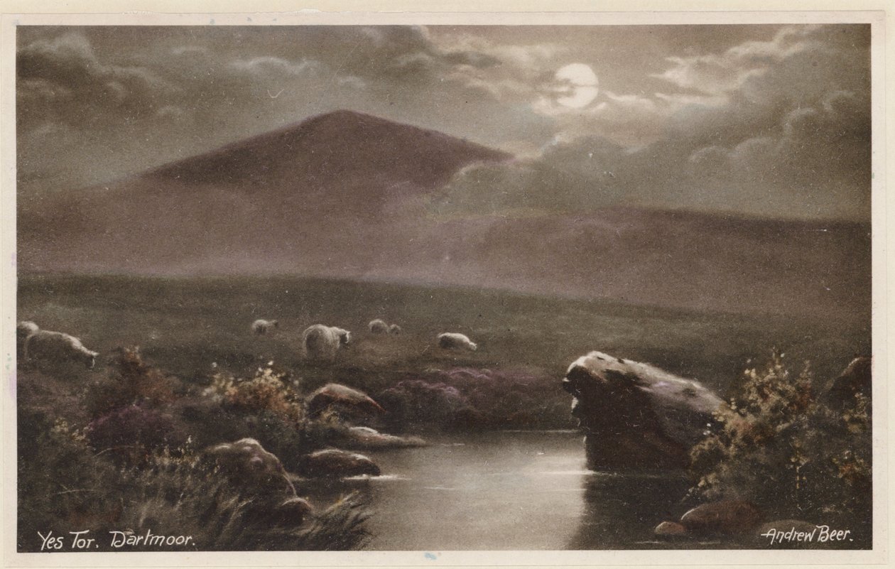 يس تور، دارتمور (صورة ملونة) بواسطة أندرو بير