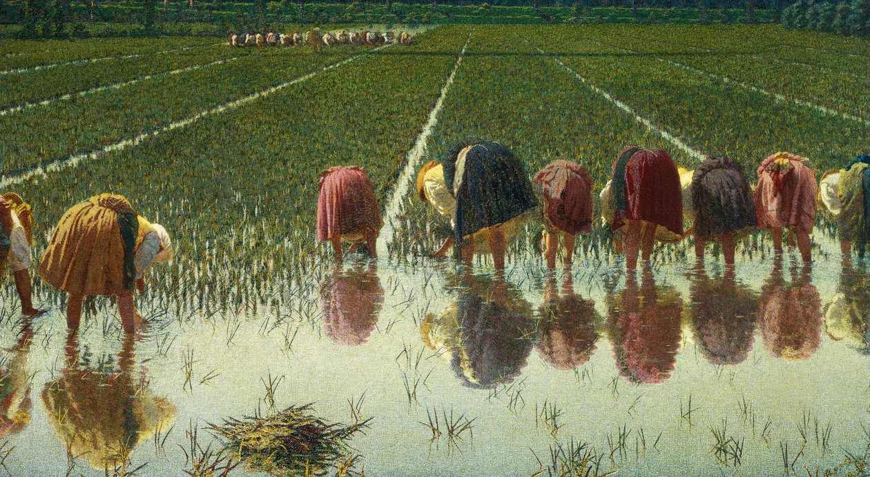 مقابل ثمانين بنسًا ، لأنجيلو موربيلي (1853-1919) ، ألوان زيتية على قماش ، 67.5 × 124.5 سم بواسطة أنجيلو موربيلي